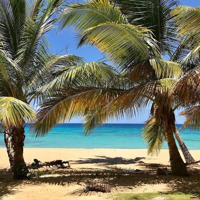 Dominican Republic, Playa Grande