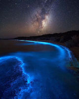 Bioluminescent Bay, Fajardo