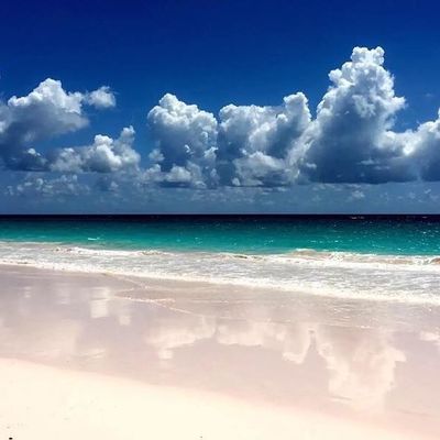 Bahamas, Pink Sands Beach, Harbor Island