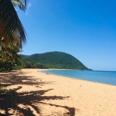 Guadeloupe, Grande Anse beach 