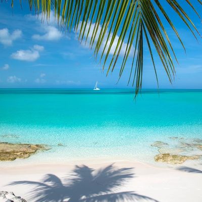 Bahamas, Cape Santa Maria Beach, Long Island