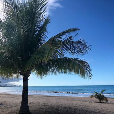 Puerto Rico, Isla Verde Beach