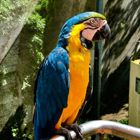 Parque Forestal La Marquesa